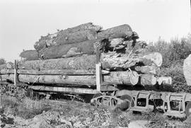 Chehalis Western Railroad bad loads at Milburn, Washington on September 18, 1975.