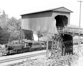 Pacific Coast Railroad freight train at Allentown, Washington in 1951.
