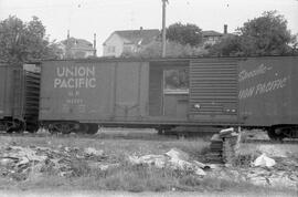 Union Pacific Boxcar 163329, Bellingham, Washington, undated