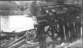 Columbia and Puget Sound Railroad bridge at Maple Valley, Washington, in 1911.