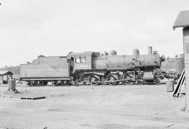 Northern Pacific steam locomotive 1356 at South Tacoma, Washington, in 1956.