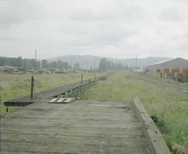 Burlington Northern loading facility at Longview, Washington, in 1981.