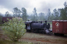 Peninsula Terminal Company steam locomotive 104 at North Portland, Oregon in 1963.