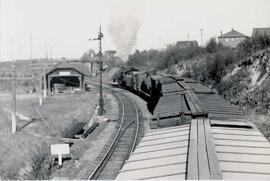 Great Northern Railway freight cars in Washington, undated.