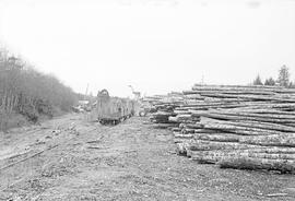 Burlington Northern log cars at Moclips, Washington in 1975.