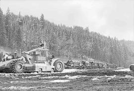 White River Lumber Log Reload Facility at Enumclaw, Washington in January 1975.