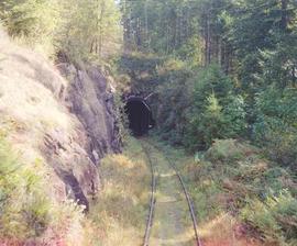 Lewis & Clark Railway Tunnel at Battle Ground, Washington in October, 1988.