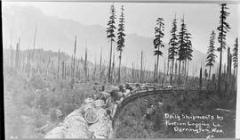 Fortson Logging Company Log Train at Darrington, Washington, circa 1925.