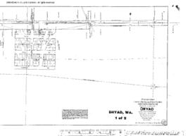 Plat Map of Northern Pacific Facilities at Dryad, Washington, 1916