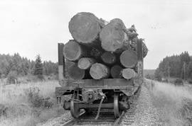 Burlington Northern log car at Wetico, Washington in 1975.