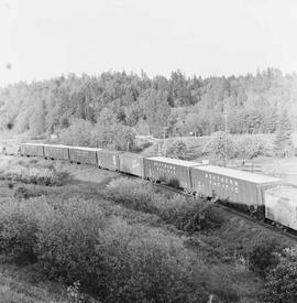 Northern Pacific freight train near East Auburn, Washington, in 1967.