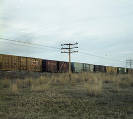 Burlington Northern box car 600203 at Satus, Washington in 1981.