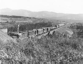 Great Northern Diesel Locomotive 3023 with Train Number 1325 Eastbound, East of Marias Pass, 1966