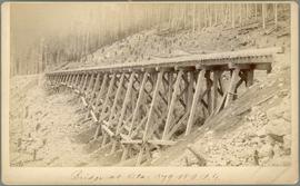 Northern Pacific bridge at Stampede, Washington Territory, in 1887.