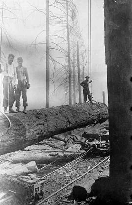 Mud Bay Logging Company Crew at Mud Bay, Washington, circa 1921.