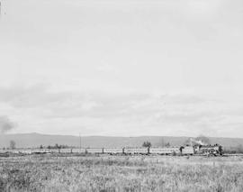 Northern Pacific passenger train at Centralia, Washington, in 1957.