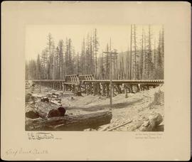 Northern Pacific bridge at Deep Creek, Washington Territory, 1887.