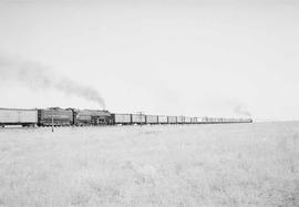 Northern Pacific steam locomotive 5138 at Glade, Washington, in 1953.