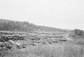 Burlington Northern log yard at Lake Kapowsin, Washington, in 1974.