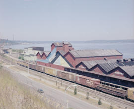 Union Pacific Railroad diesel locomotive number 3354 at Tacoma, Washington in 1979.