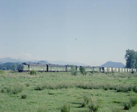 Burlington Northern freight train near Veazey, Washington in 1980.