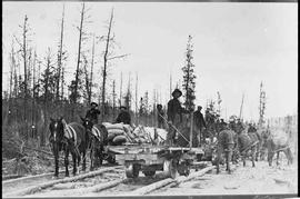 Canyon & White Horse Rapids Tramway Horse-Drawn Trams at Canyon City, Yukon Territory, circa ...