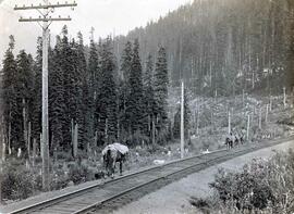 Unknown rider and pack horses walking along Great Northern Railway track in Washington State, und...