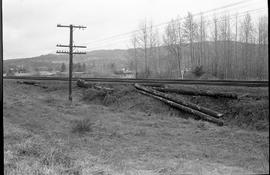 Burlington Northern log car 631394 between Bucoda and Tenino, Washington, circa 1974.