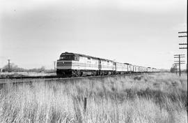 Amtrak diesel locomotives 239 at Parker, Washington on November 11, 1977.