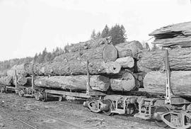 Weyerhaeuser Company Loaded Log Cars at Pe Ell, Washington in May 1975.