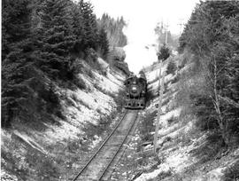 Pacific Coast Railroad freight train at Lake Wilderness, Washington, circa 1940