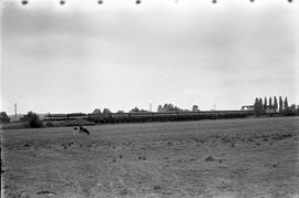 An Amtrak passenger train at Thomas, Washington on July 24, 1970.