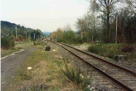 Burlington Northern Railroad railroad track at Maple Valley, Washington in 1981.