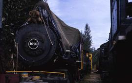 Northern Pacific 1070 stored in Snoqualime, Washington in 1956.